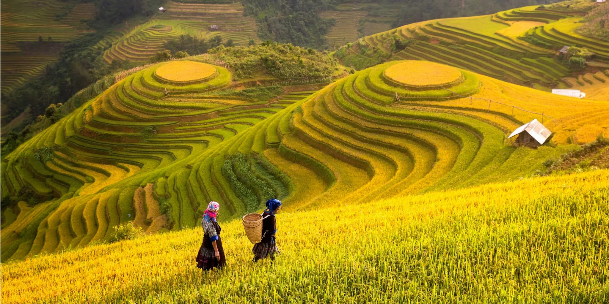 10 Business Tips for Thriving in Vietnam